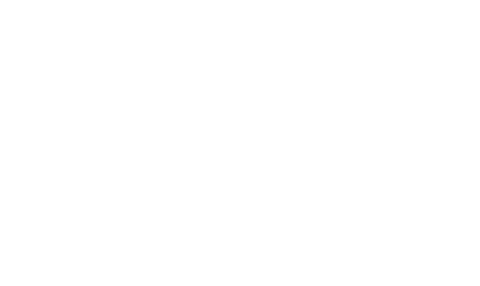 Hidden Web